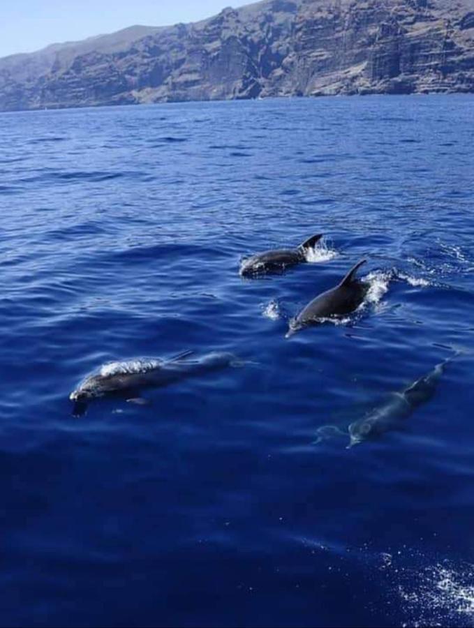 Apartamento Cerca De La Playa Διαμέρισμα Acantilado de los Gigantes Εξωτερικό φωτογραφία